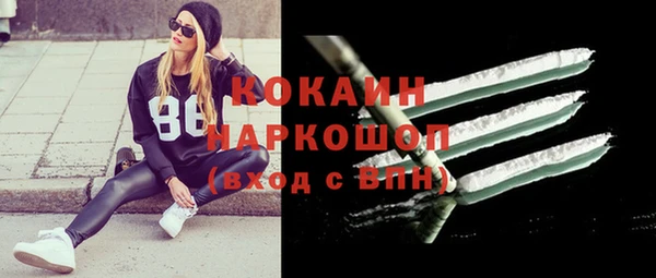 гидра Вязьма