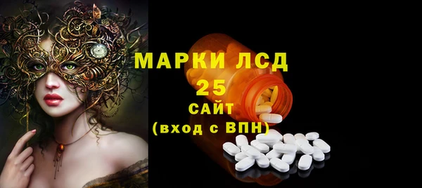 гидра Вязьма