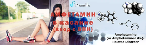 гидра Вязьма