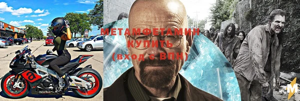 гидра Вязьма