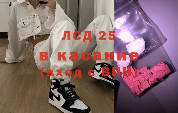 гидра Вязьма