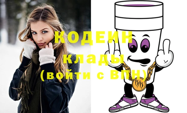 гидра Вязьма