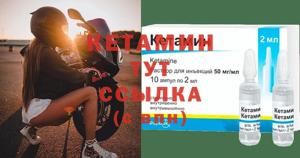 гидра Вязьма