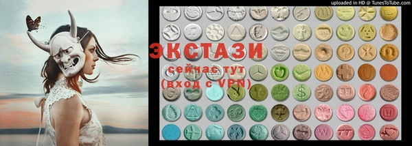 гидра Вязьма