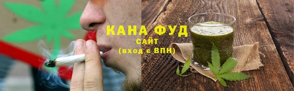 гидра Вязьма
