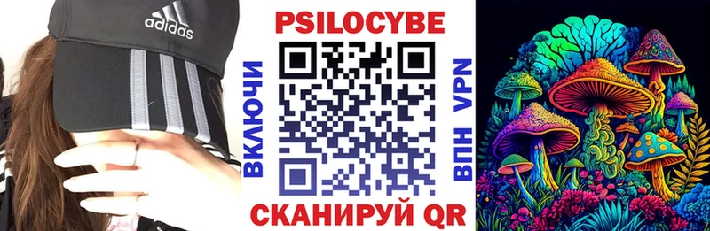 магазин    Южно-Сахалинск  KRAKEN сайт  Галлюциногенные грибы Psilocybe 